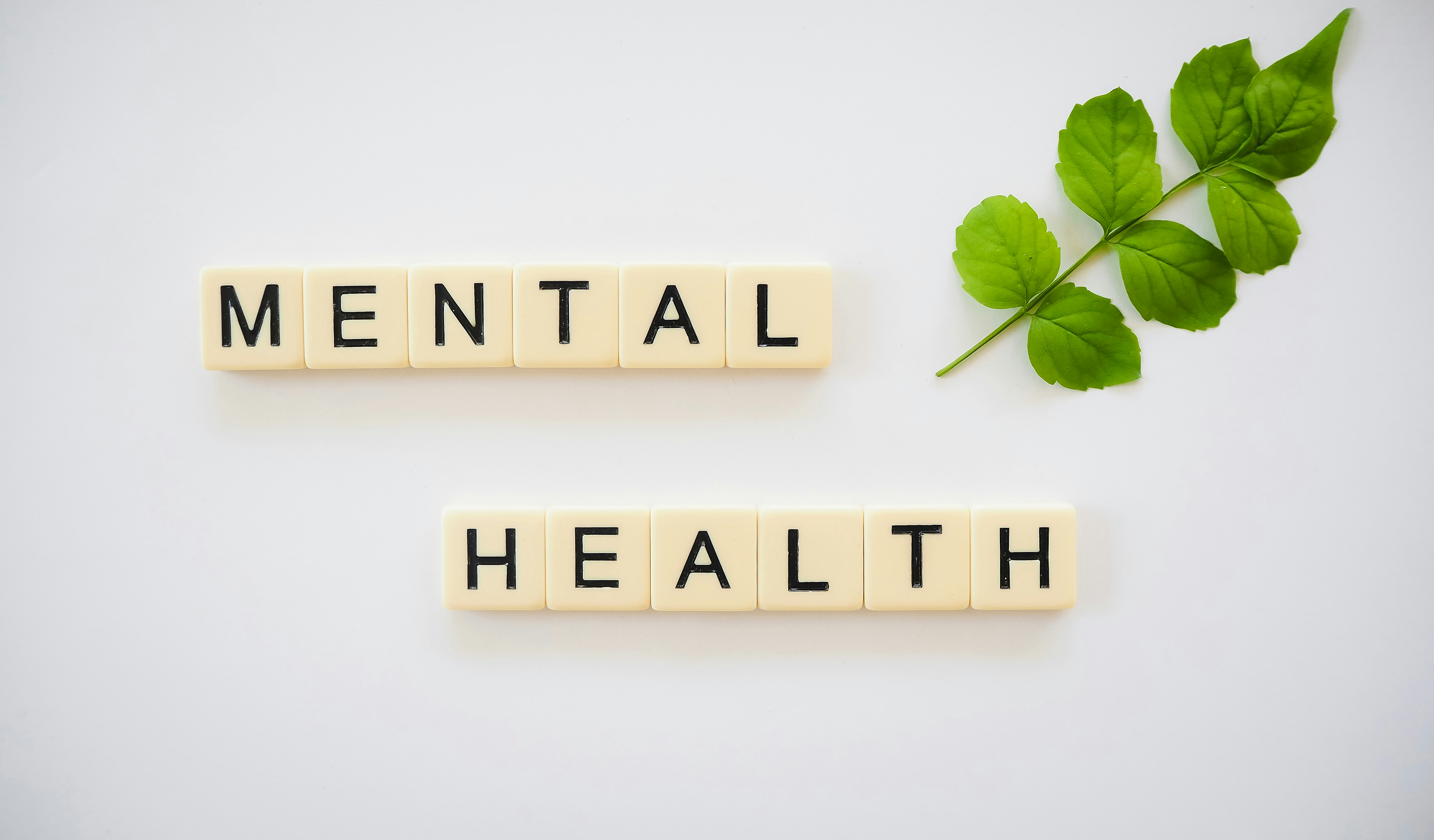 Mental Health Program